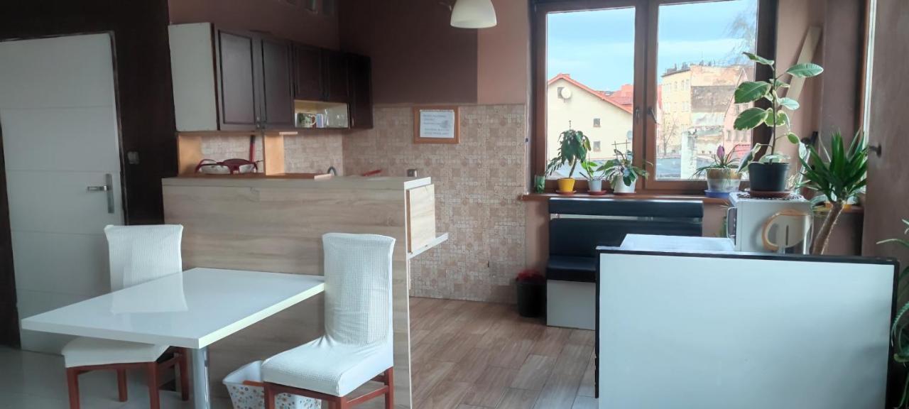 Noclegi Centrum Jelenia Góra Extérieur photo