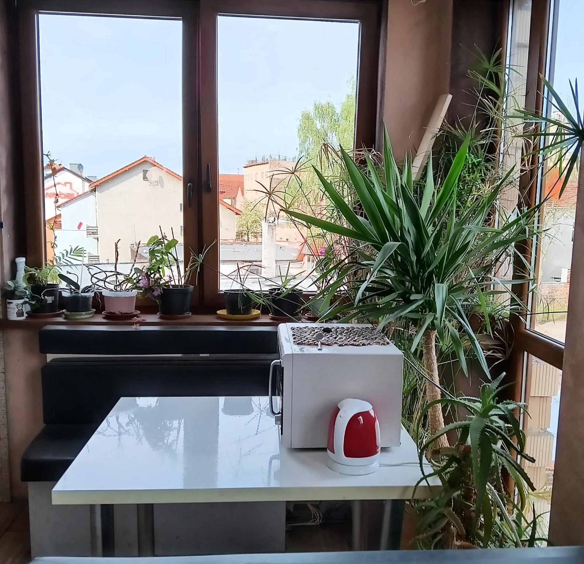 Noclegi Centrum Jelenia Góra Extérieur photo